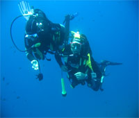 dive