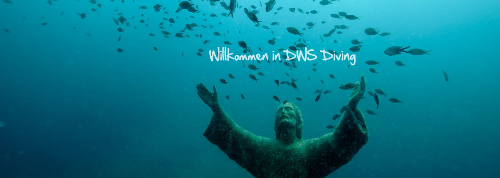 Willkommen in DWS Diving