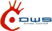 DWS Diving English
