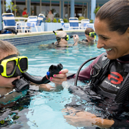 PADI Open Water Scuba Instructors können so gut wie überall auf der Welt unterrichten.